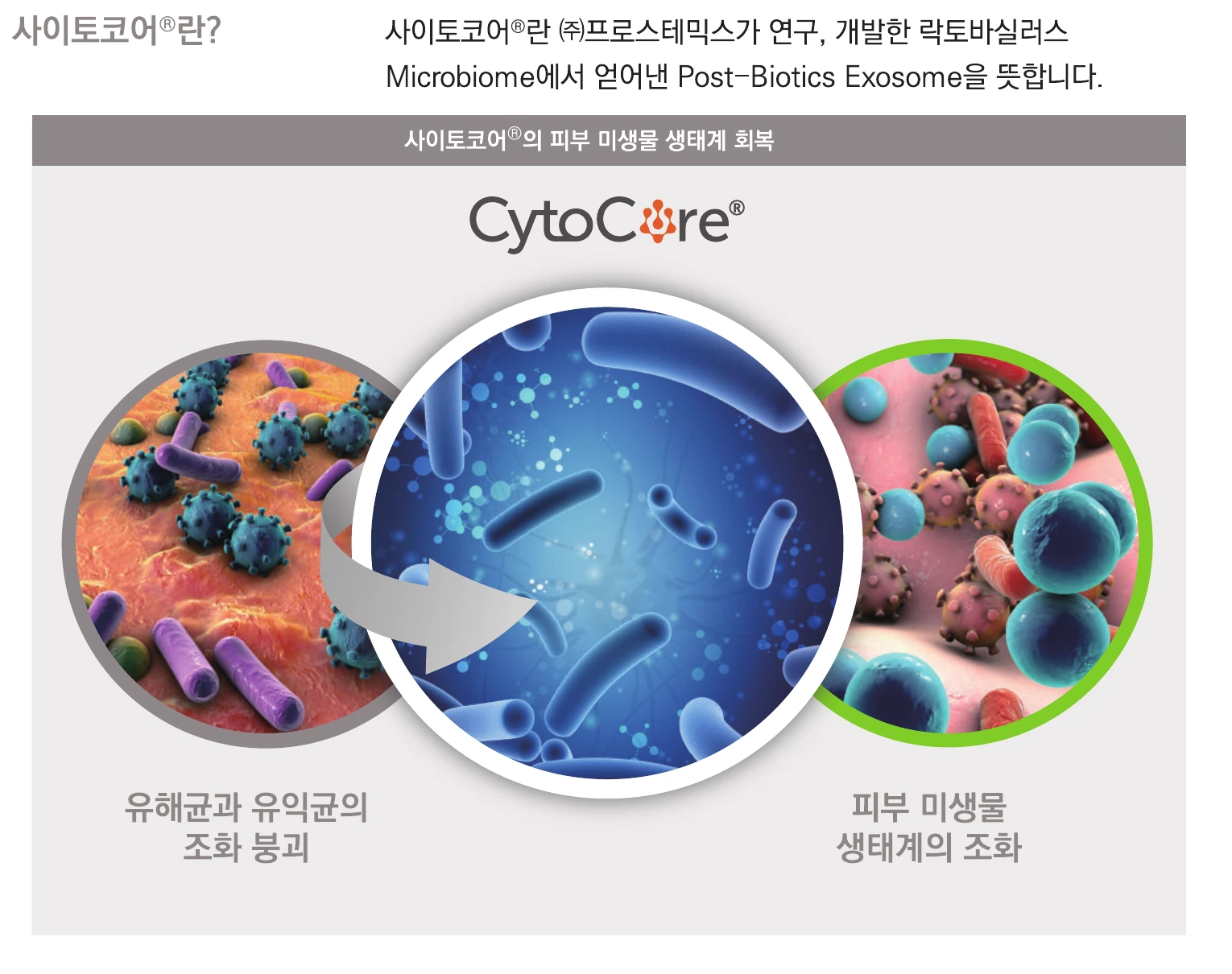 Cytocore microbiome balancing system