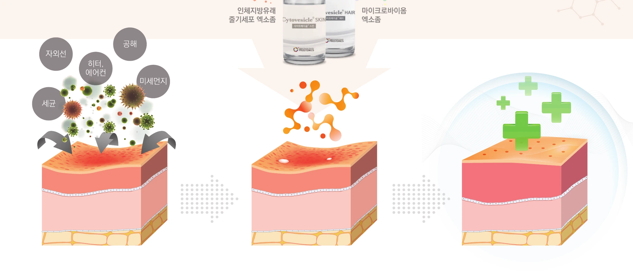 Cytovesicle skin recovery process