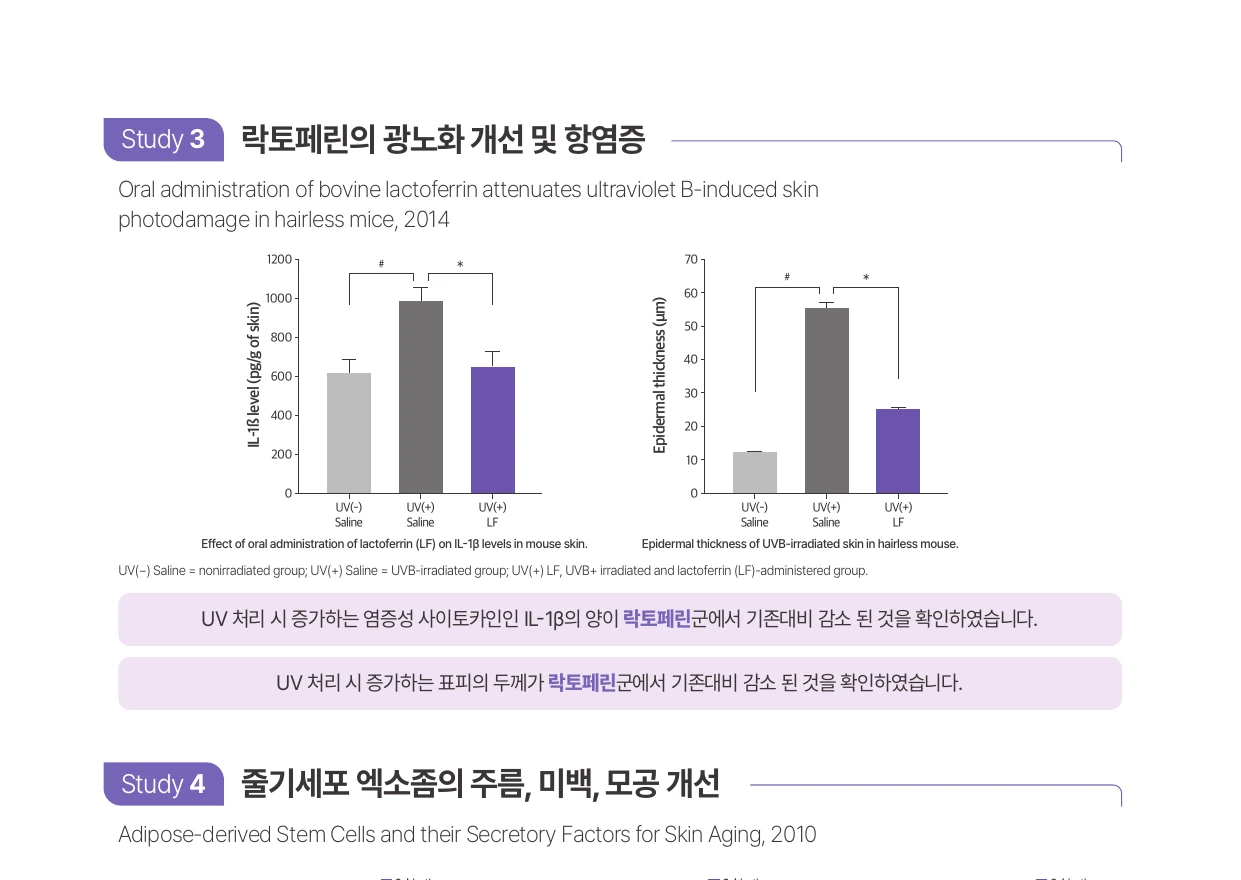 락토페린과 광노화·항염