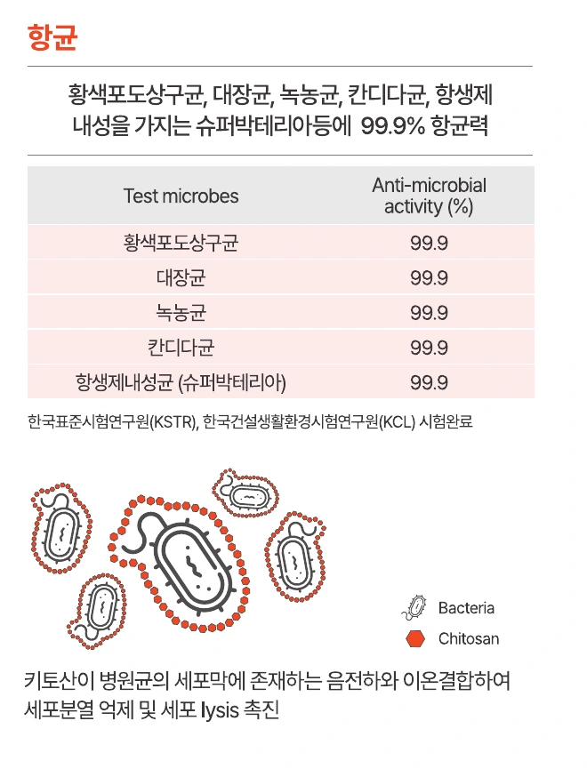 KIODYN Plus 항균 시험 자료