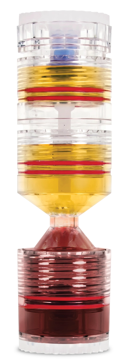 LIGHT CONCENTRATE
